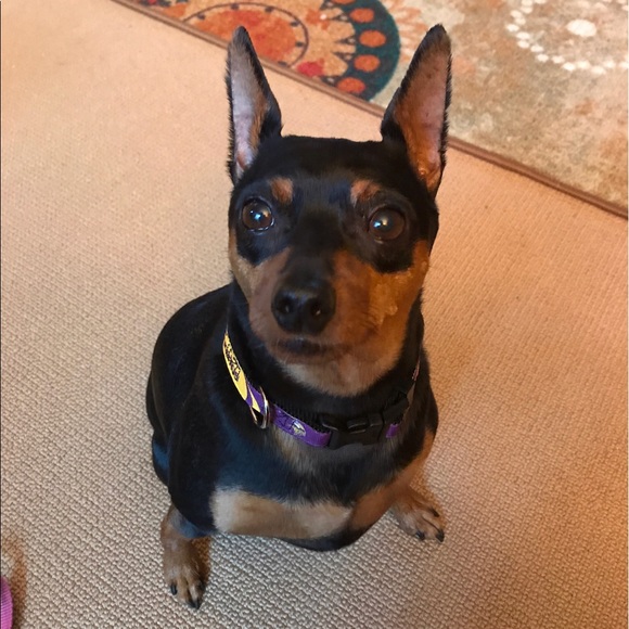 Meet your Posher, Lori - Picture 1 of 1