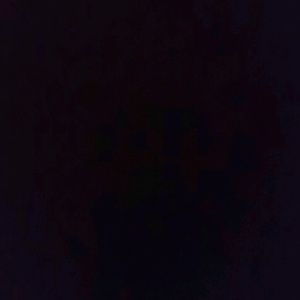 Meet your Posher, Jocelyn