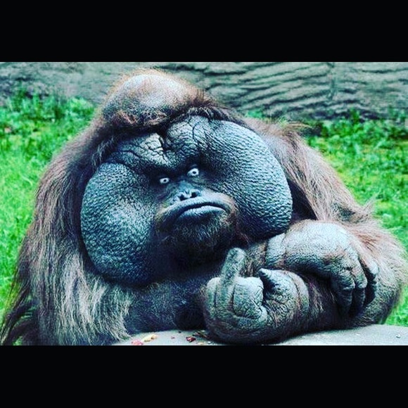 Meet your Posher, Andrew - Picture 1 of 1