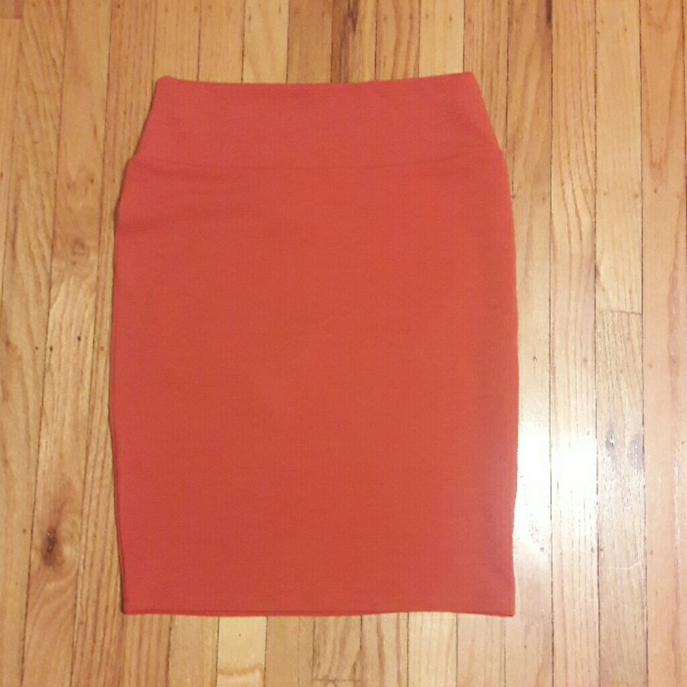 NWOT Lula Roe skirt (Cassie)