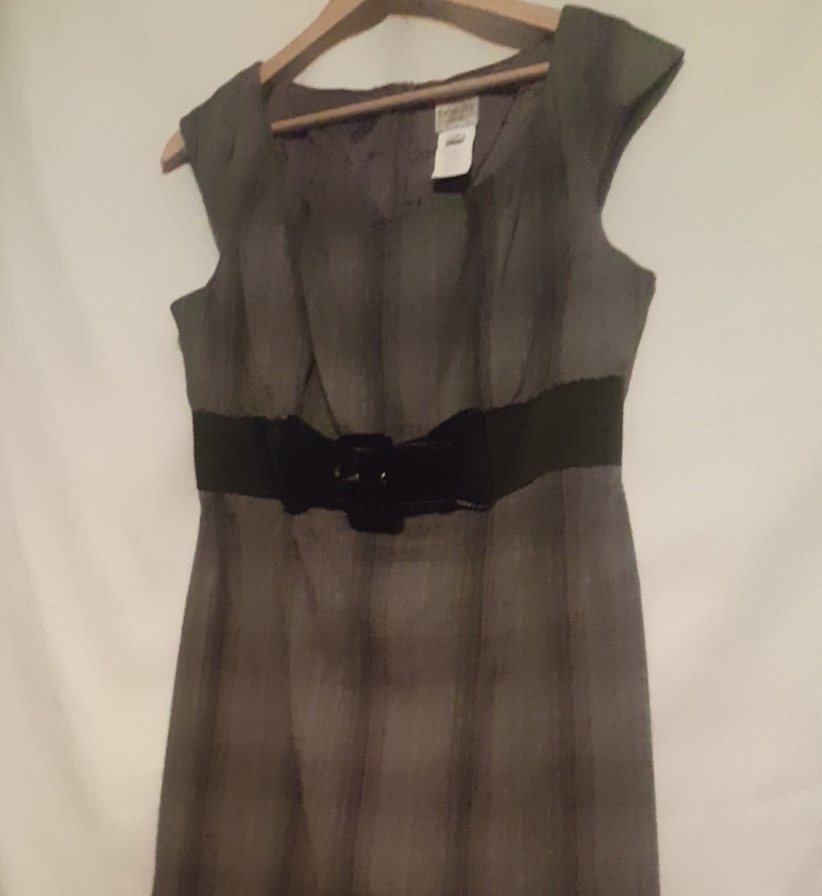 Belted Dorby Dress