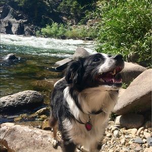 Meet your Posher, Emma