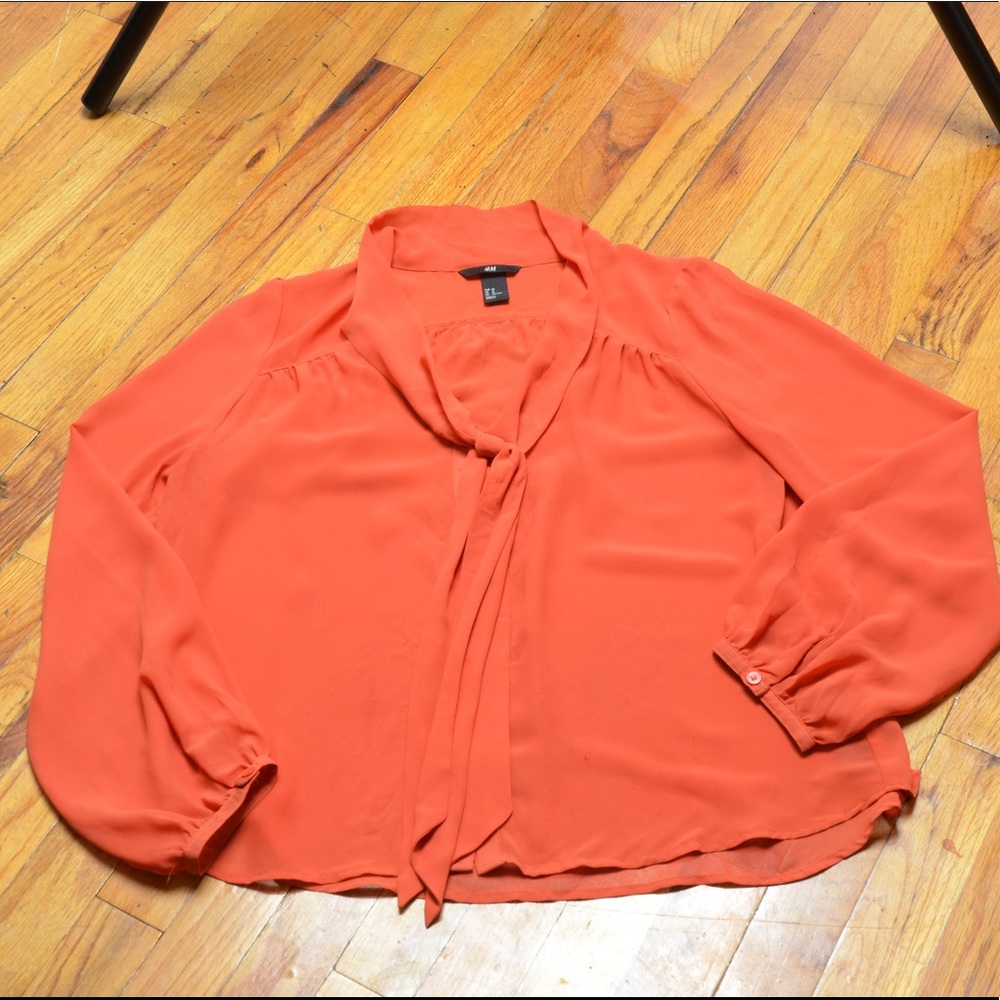 Long sleeve burnt orange sheer blouse with tie.