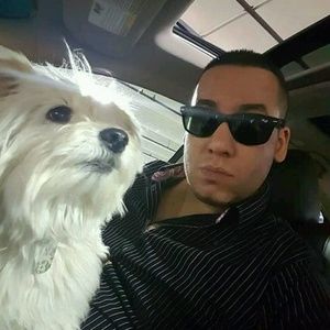 Meet your Posher, Dany