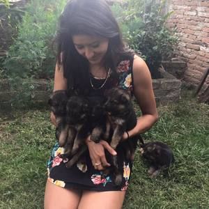 Meet your Posher, Lulu