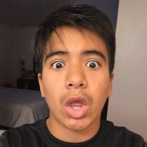 Meet your Posher, Hector