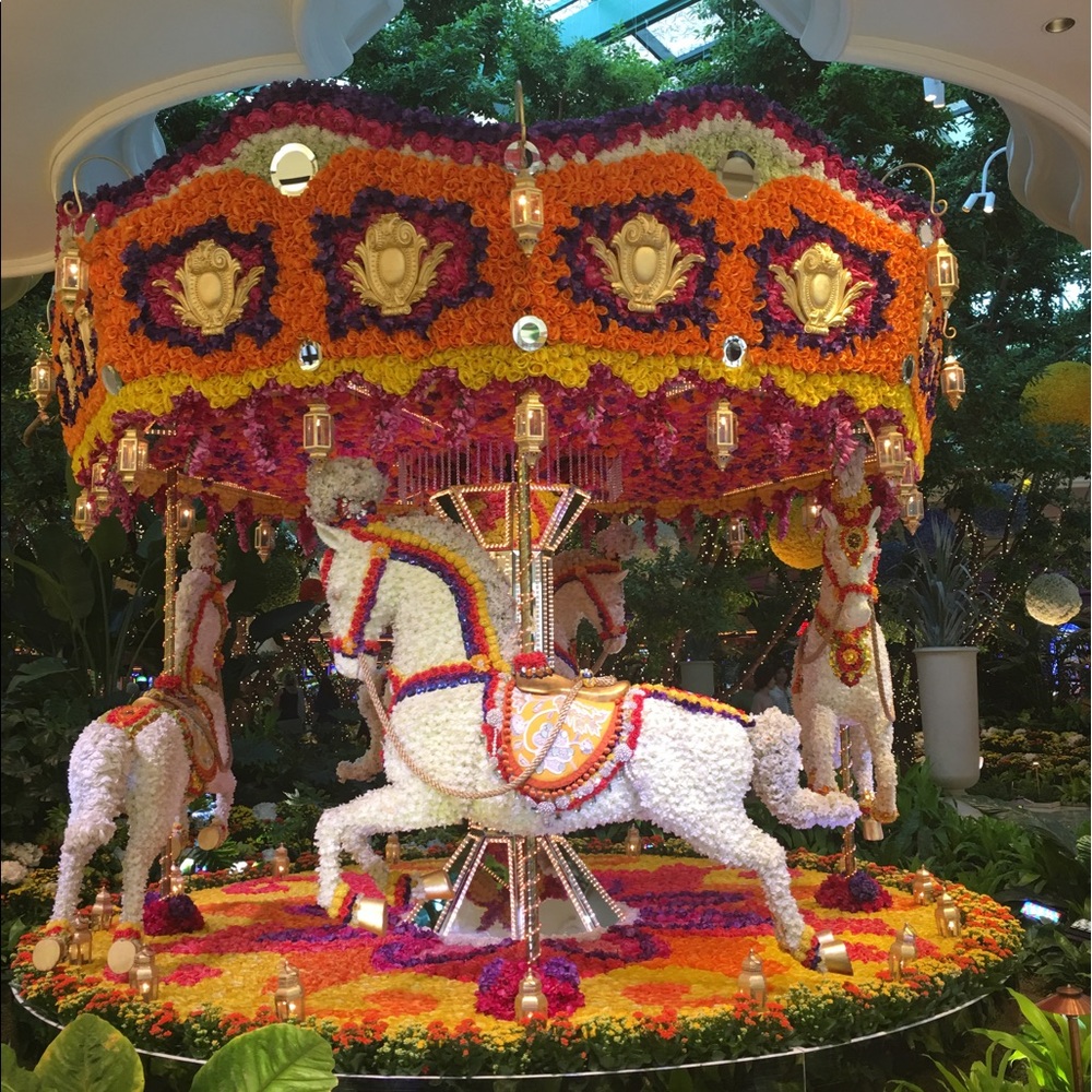 Meet your Posher, Xiaotian