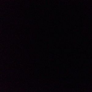 Meet your Posher, Wilma