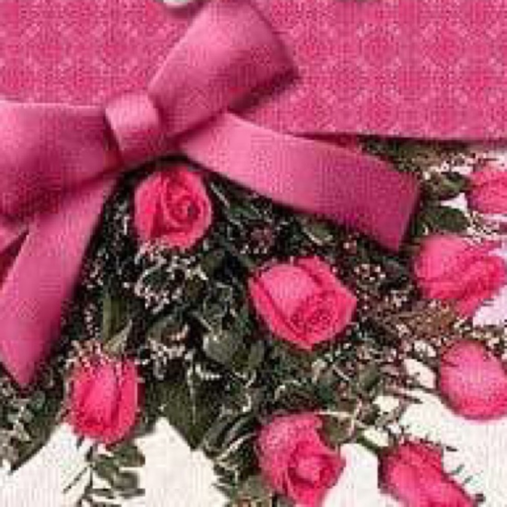 Meet your Posher, Lina