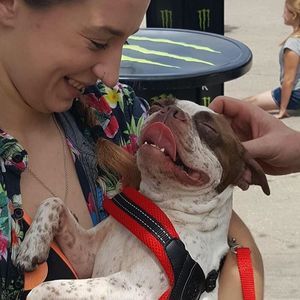 Meet your Posher, Shiloh