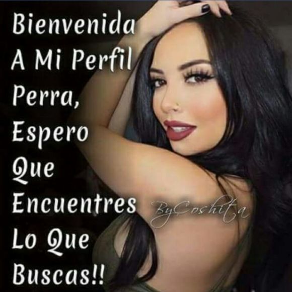 Meet your Posher, Alonso margarita - Picture 1 of 1