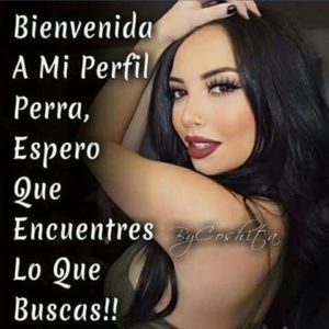 Meet your Posher, Alonso margarita