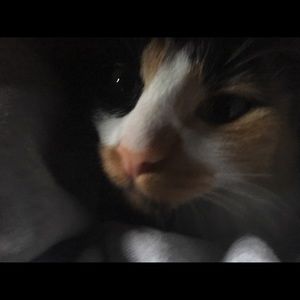 Meet your Posher, Jade