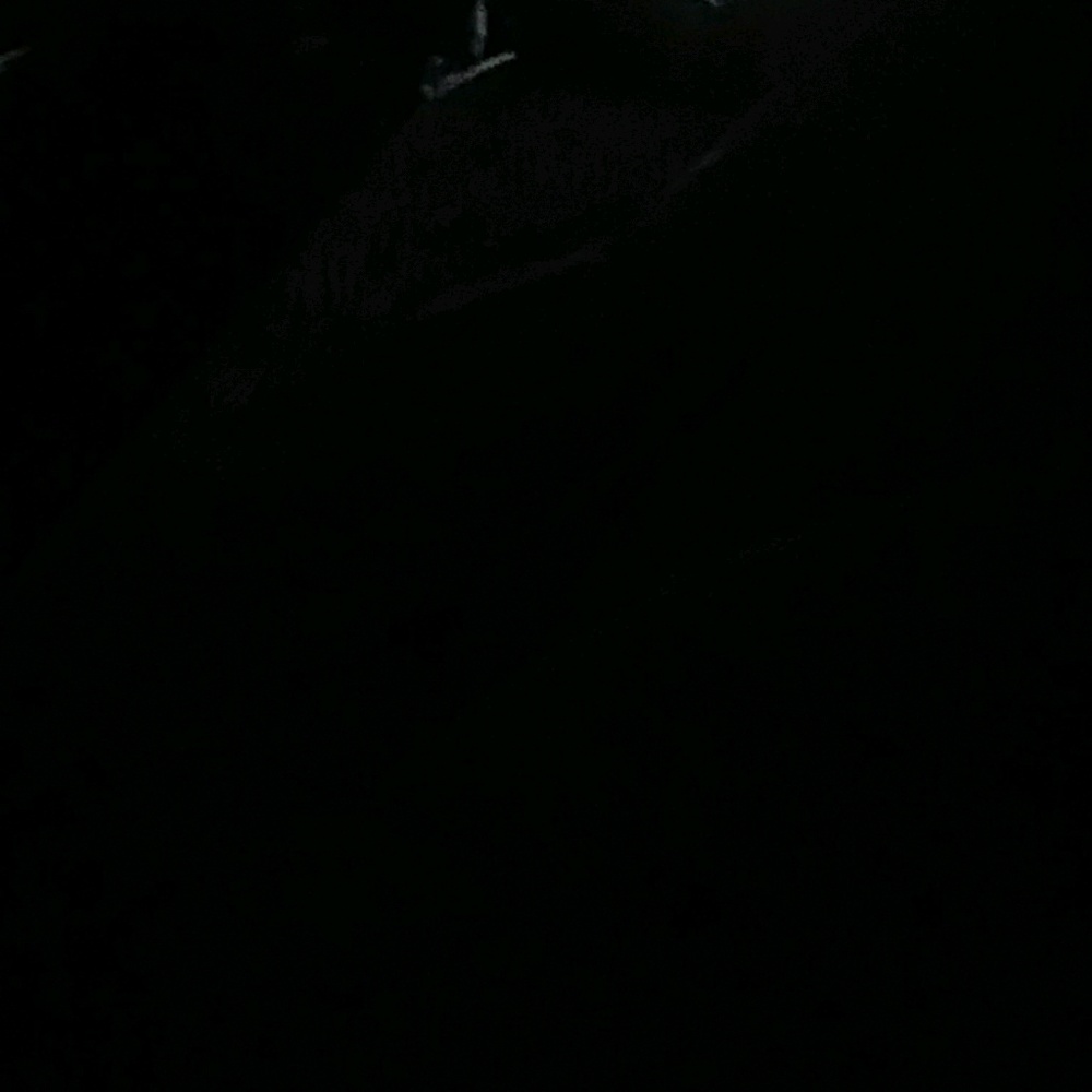 Meet your Posher, Taschica