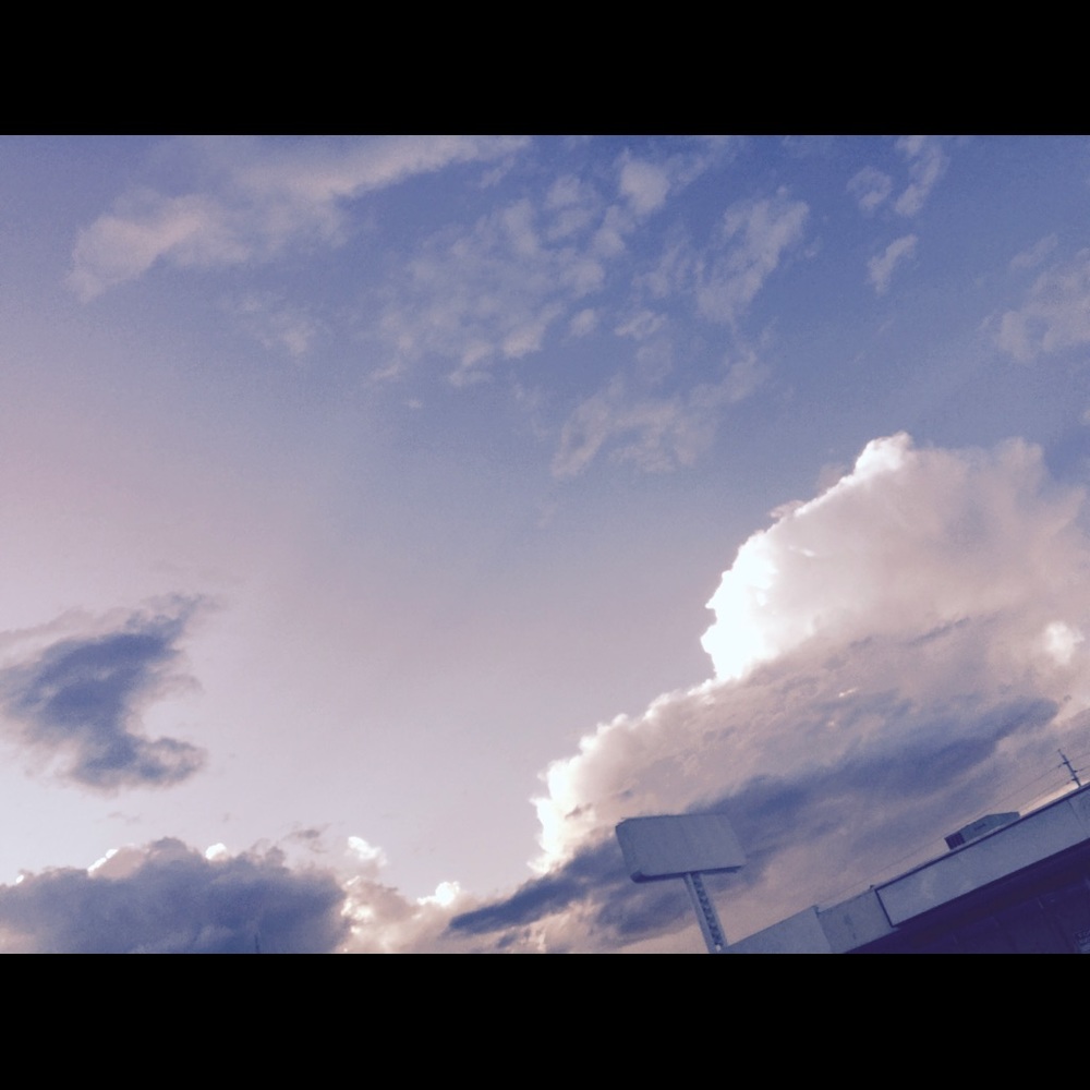 Meet your Posher, Cheyenne