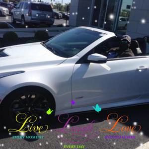 Meet your Posher, Devon