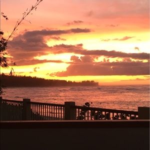 Meet your Posher, Joanne