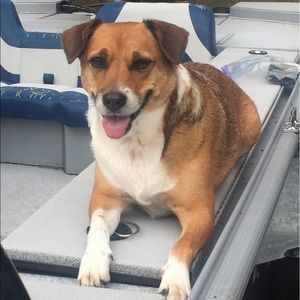 Meet your Posher, Madge