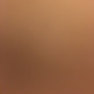 Meet your Posher, Ariana