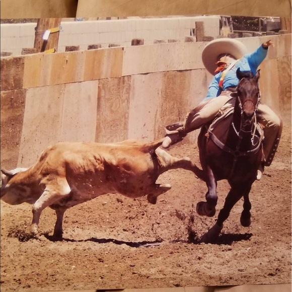 Meet your Posher, Ramiro - Picture 1 of 1