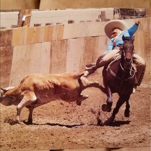 Meet your Posher, Ramiro