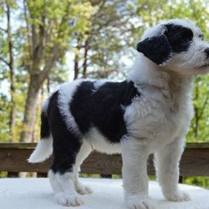 Meet your Posher, Maureen