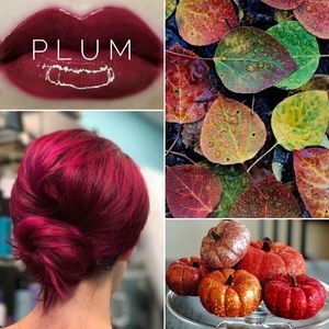 Plum Lipsense