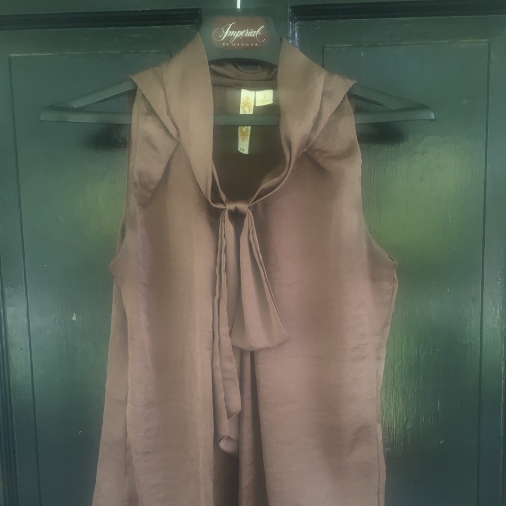 Sleeveless chocolate brown Blouse