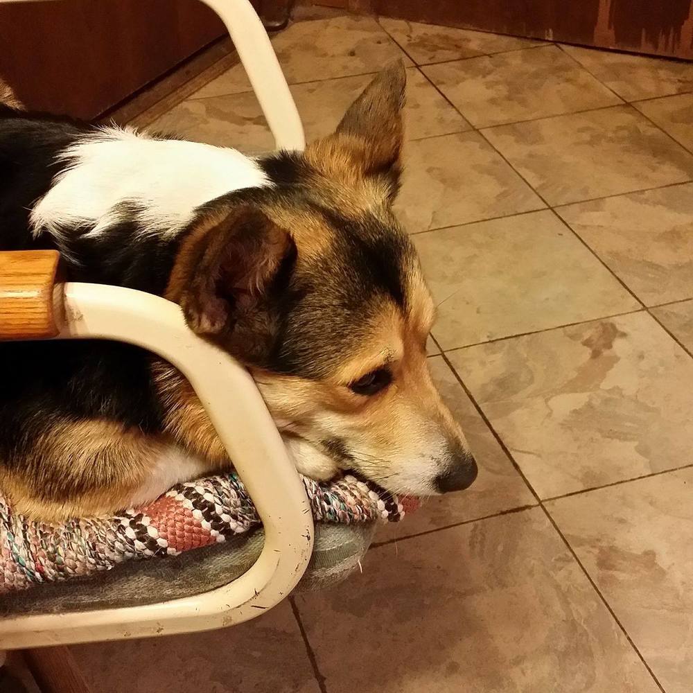 Meet your Posher, Connie