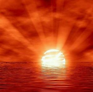 Meet your Posher, Jeanette