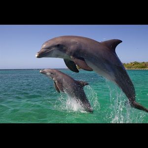 Meet your Posher, Louinesse