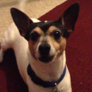 Meet your Posher, Jacob