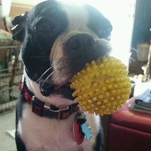 Meet your Posher, Audrey