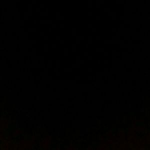 Meet your Posher, Lacey