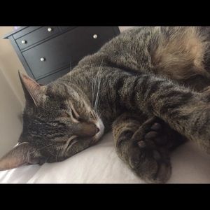 Meet your Posher, Emily