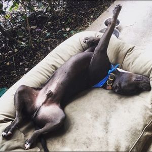 Meet your Posher, Liz