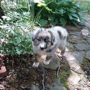 Meet your Posher, Jeri