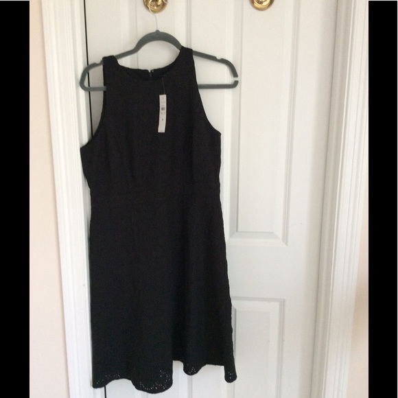 Ann Taylor eyelet flare π. - Picture 4 of 6