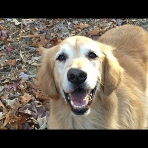 Meet your Posher, Summer