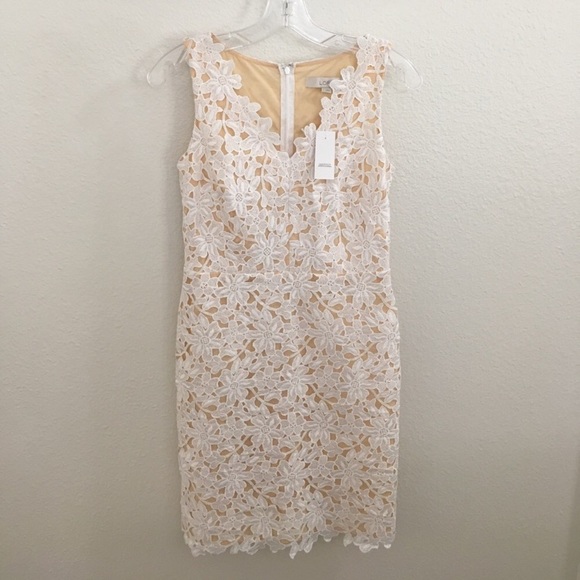NWT Loft Floral Lace Dress - Picture 2 of 7