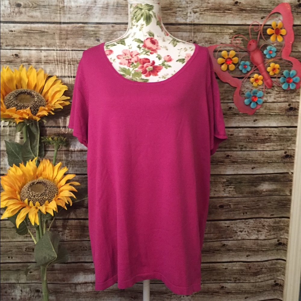 🌺 NWT GORGEOUS SILK BLEND SWEATER TOP/blouse 3X