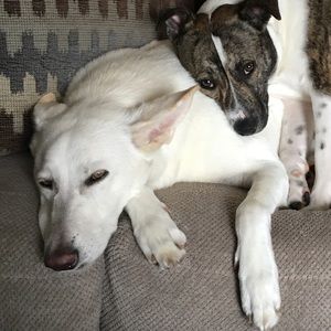 Meet your Posher, Rhianna