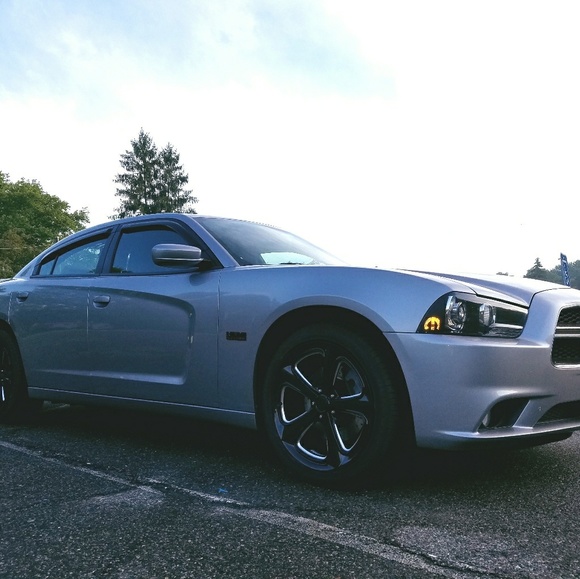 Meet your Posher, Manny - Picture 3 of 4