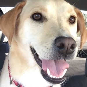 Meet your Posher, Natalie