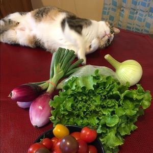 Meet your Posher, Nikki