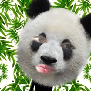 Meet your Posher, Yoli