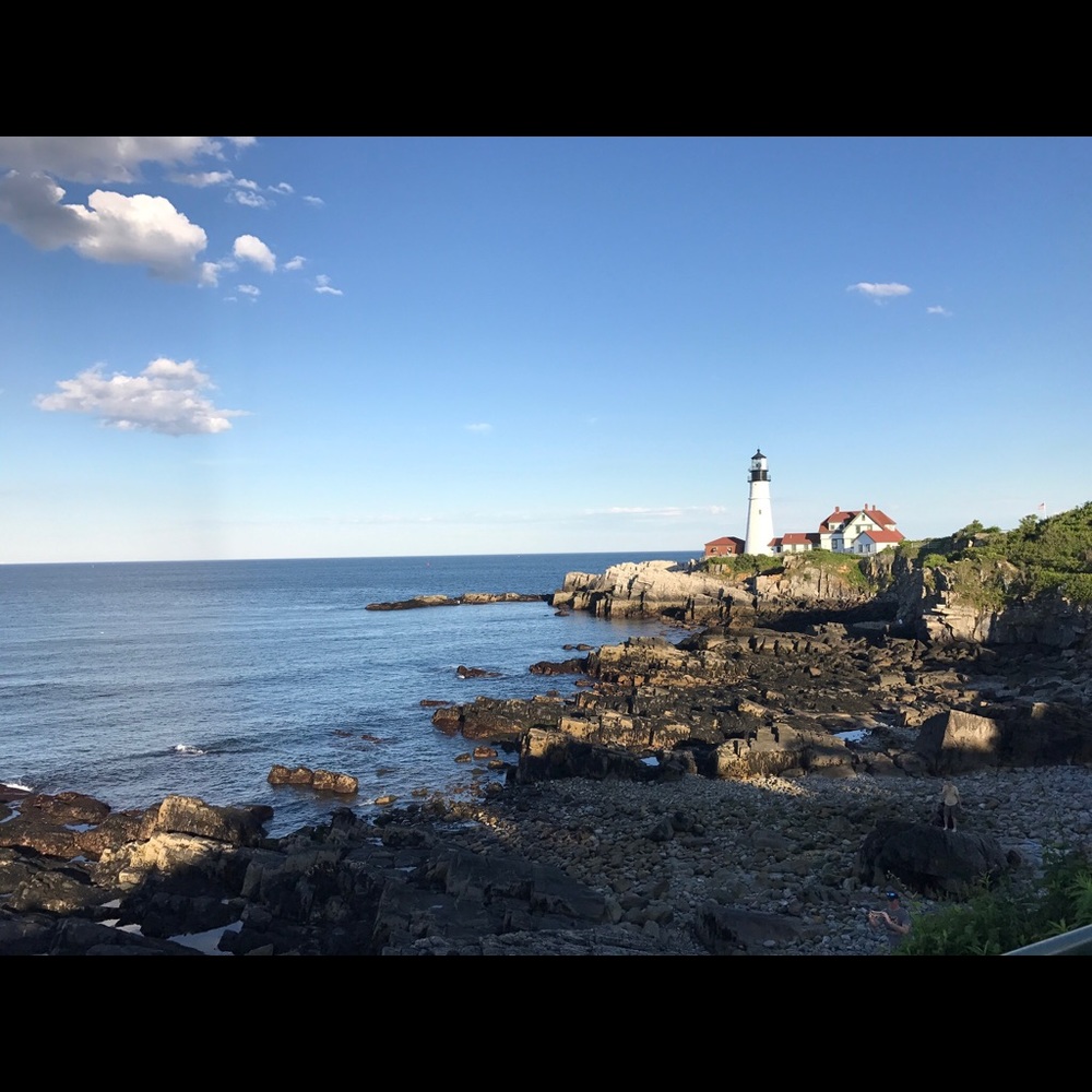 Patou ⭐️Posh Ambassador ll ⭐️