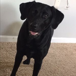 Meet your Posher, Leslie