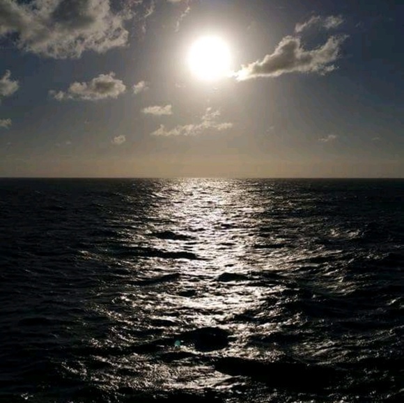 Meet your Posher, - Picture 1 of 2