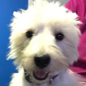 Meet your Posher, Terri